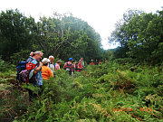 bergwandern-2014-03-klein